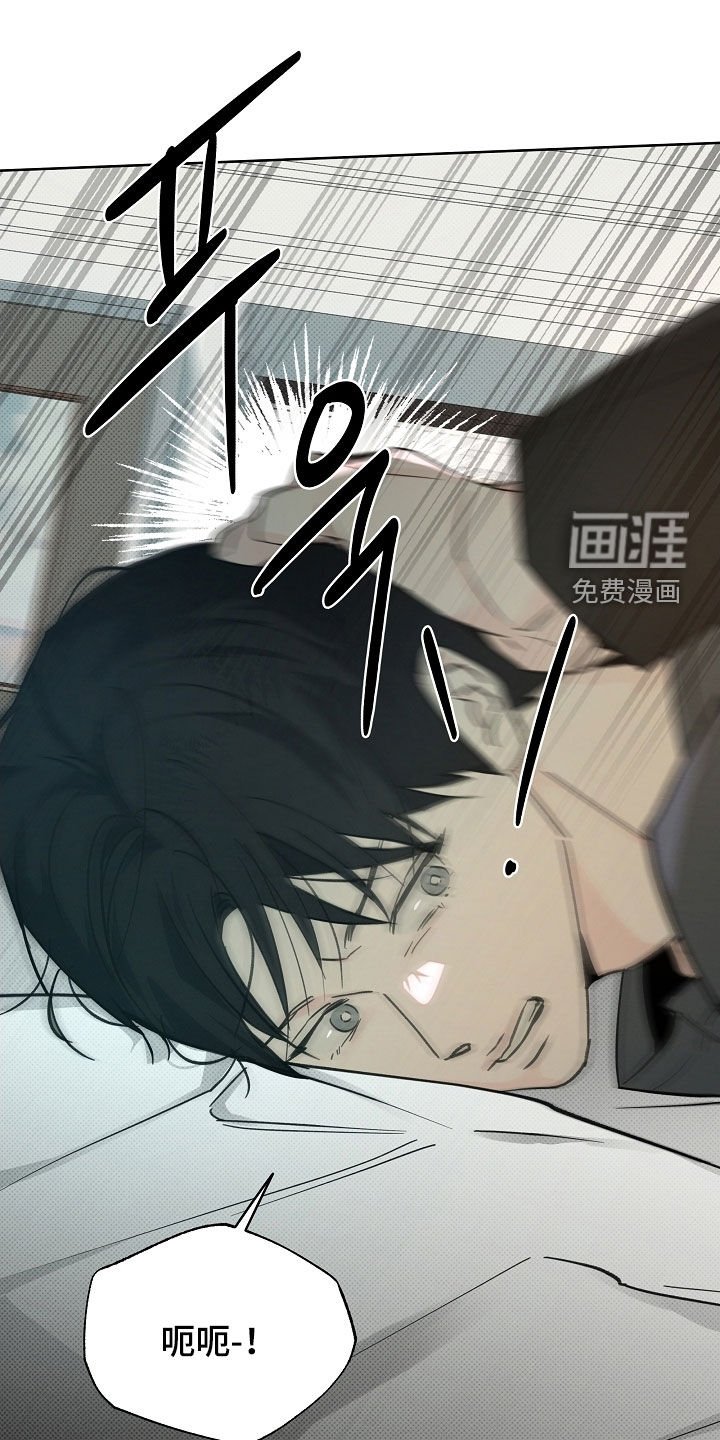 第66章：选择的机会