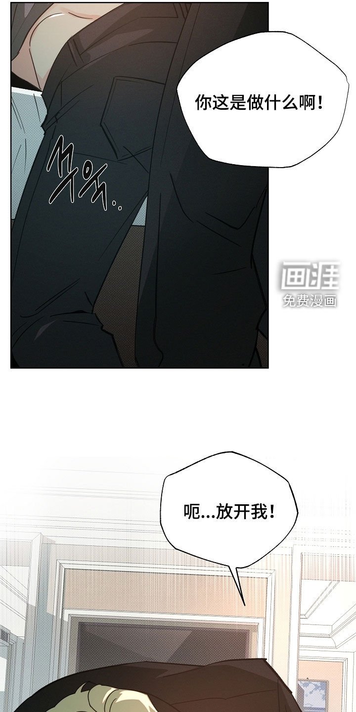 第66章：选择的机会