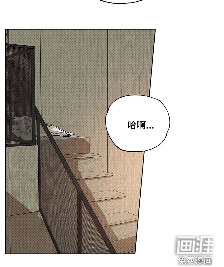 第80章：不去妨碍他们（完结）