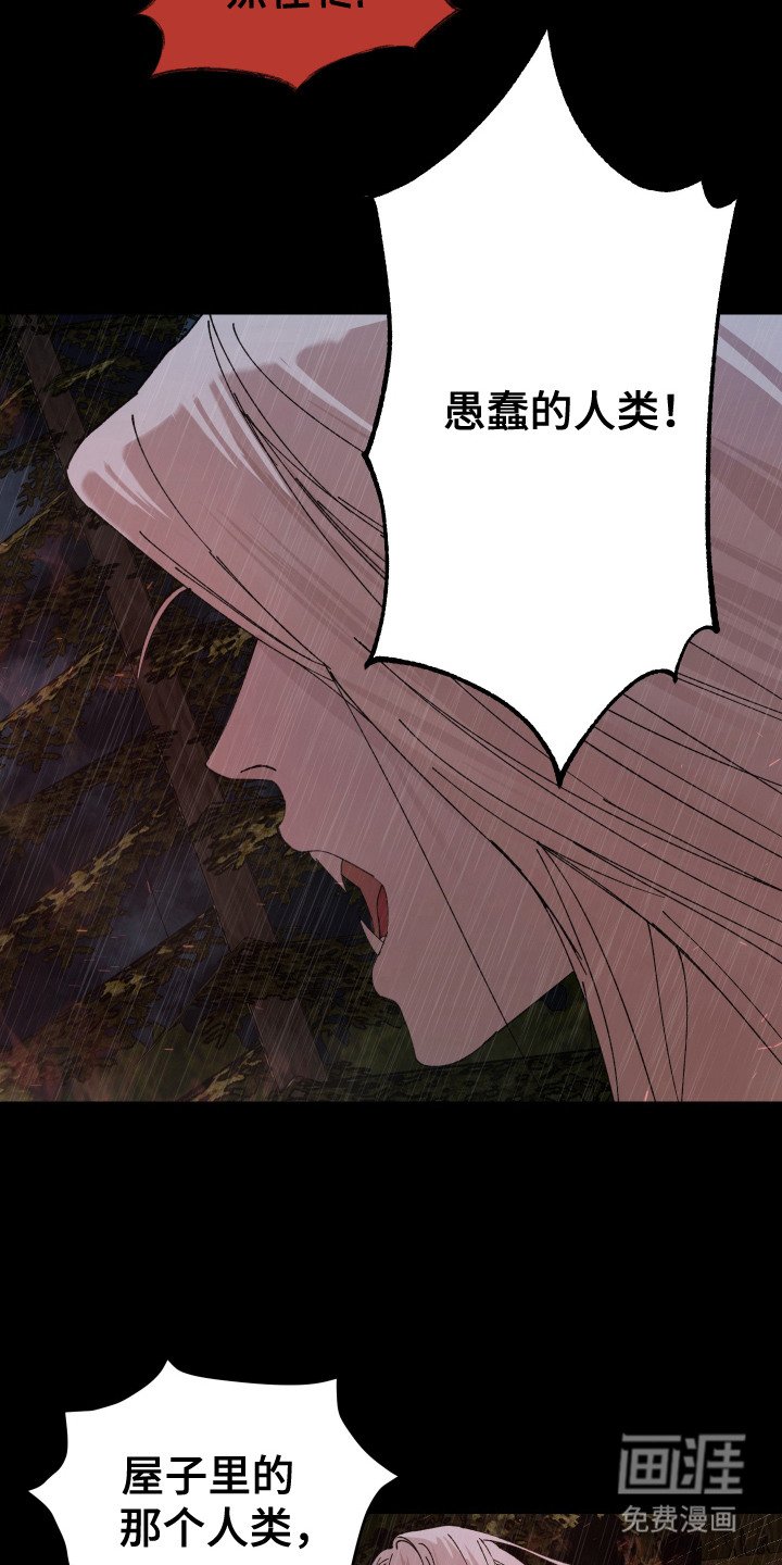 第11章：独自承担