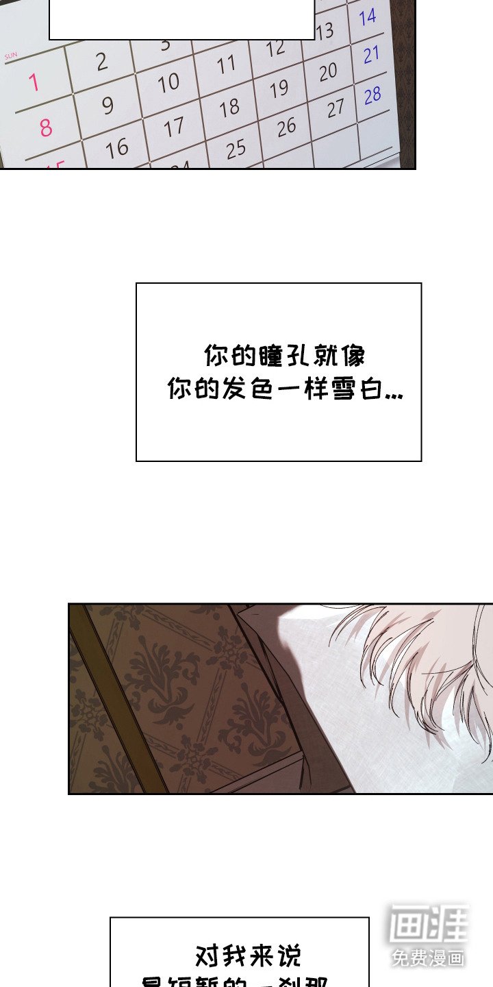 第16章：短暂的生命