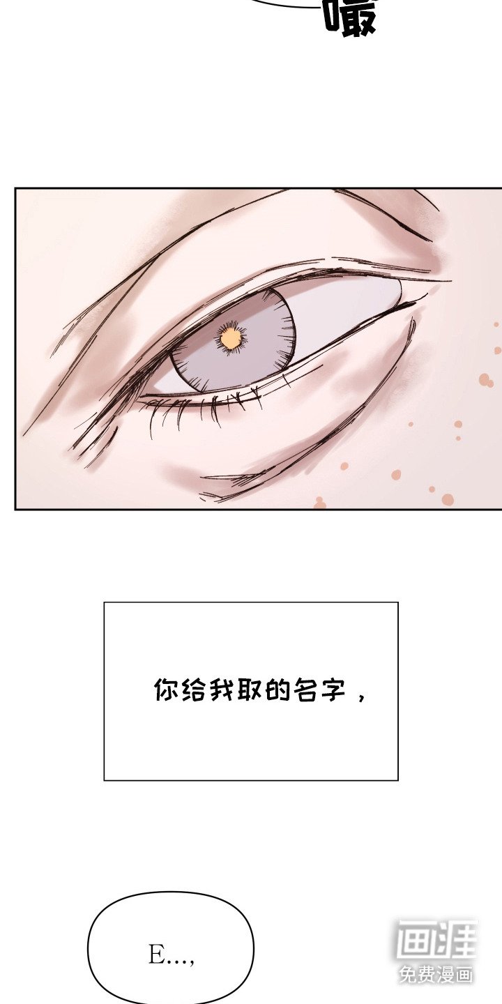 第16章：短暂的生命
