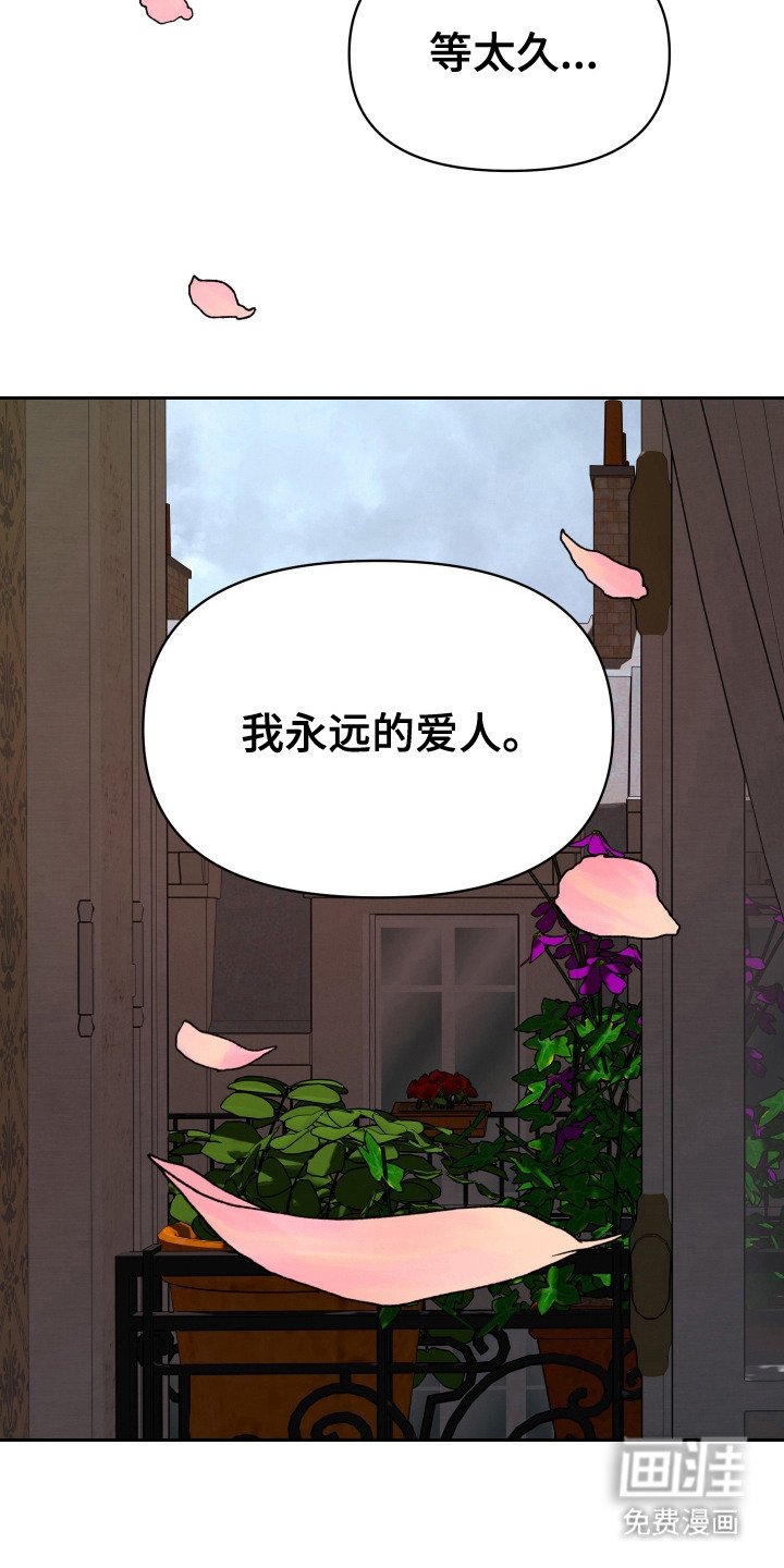 第16章：短暂的生命