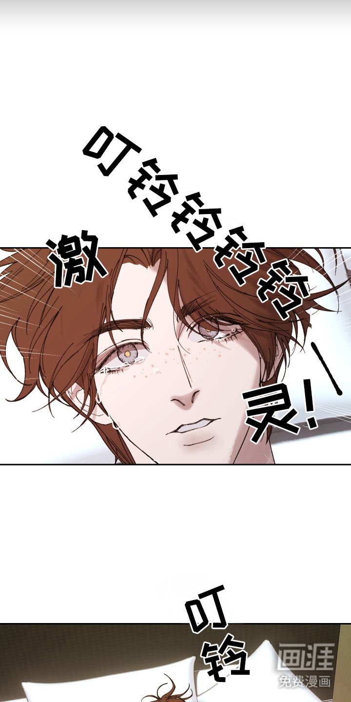 第17章：再次找到你（完结）