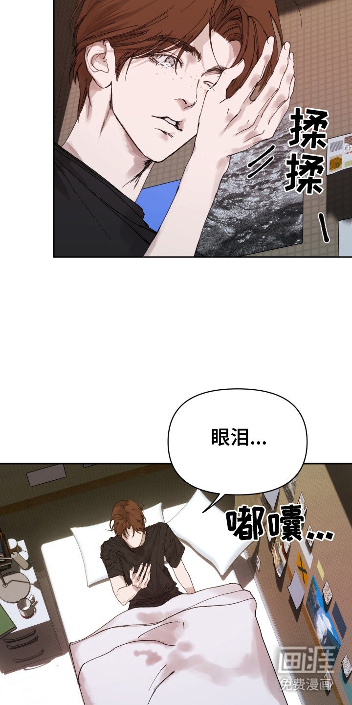 第17章：再次找到你（完结）