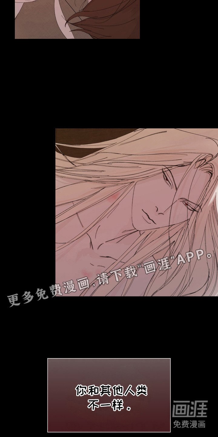 第9章：命运的羁绊