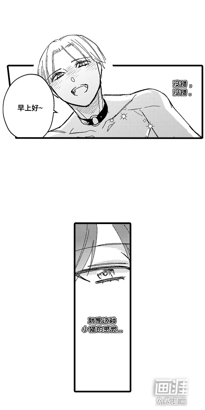 第16章：小猫一样
