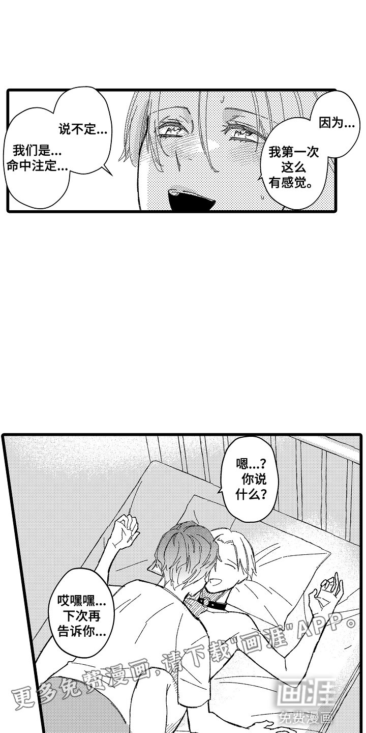 第16章：小猫一样