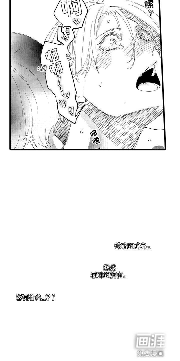 第19章：结为伴侣(完结）