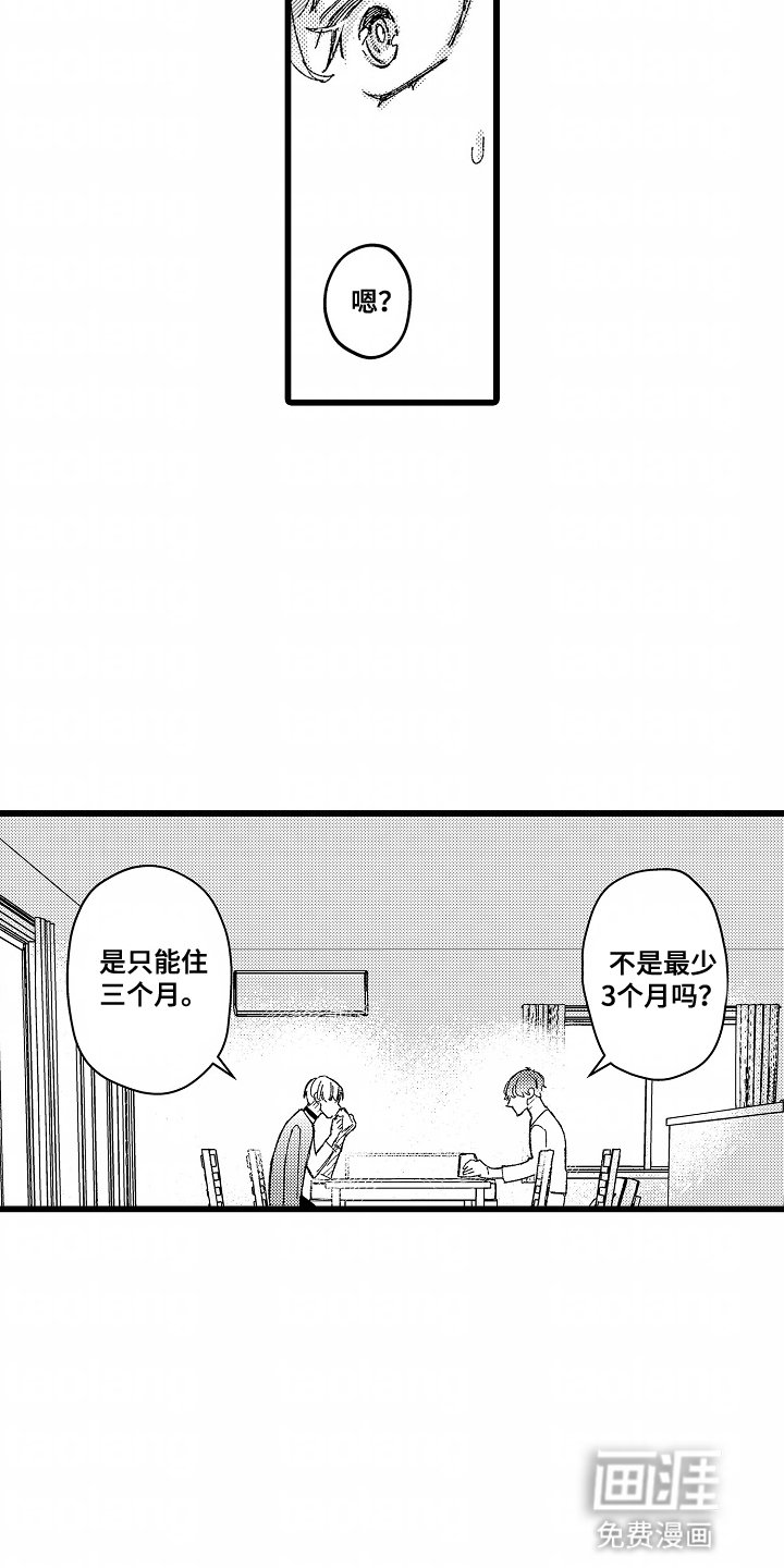 第2章：奇怪的规定
