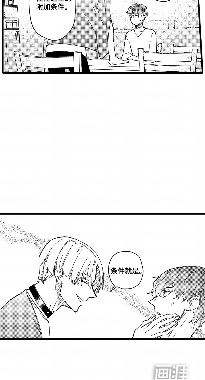 第2章：奇怪的规定