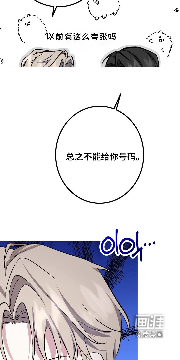 第13章：给我号码