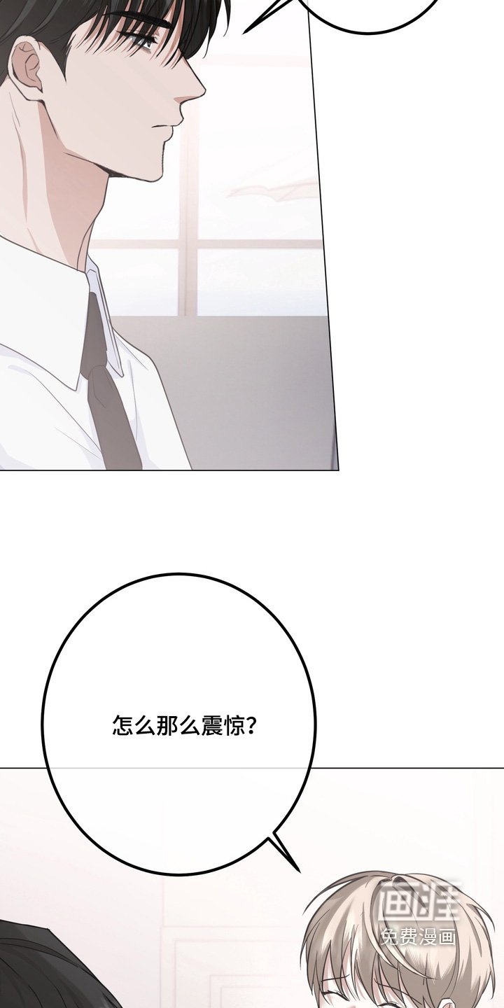 第15章：你害怕什么