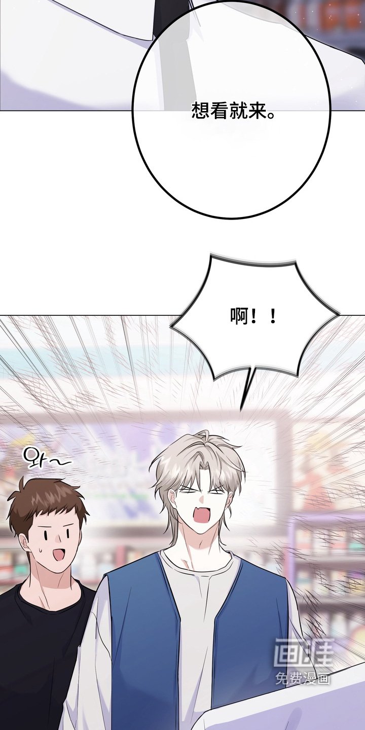 第17章：音乐会