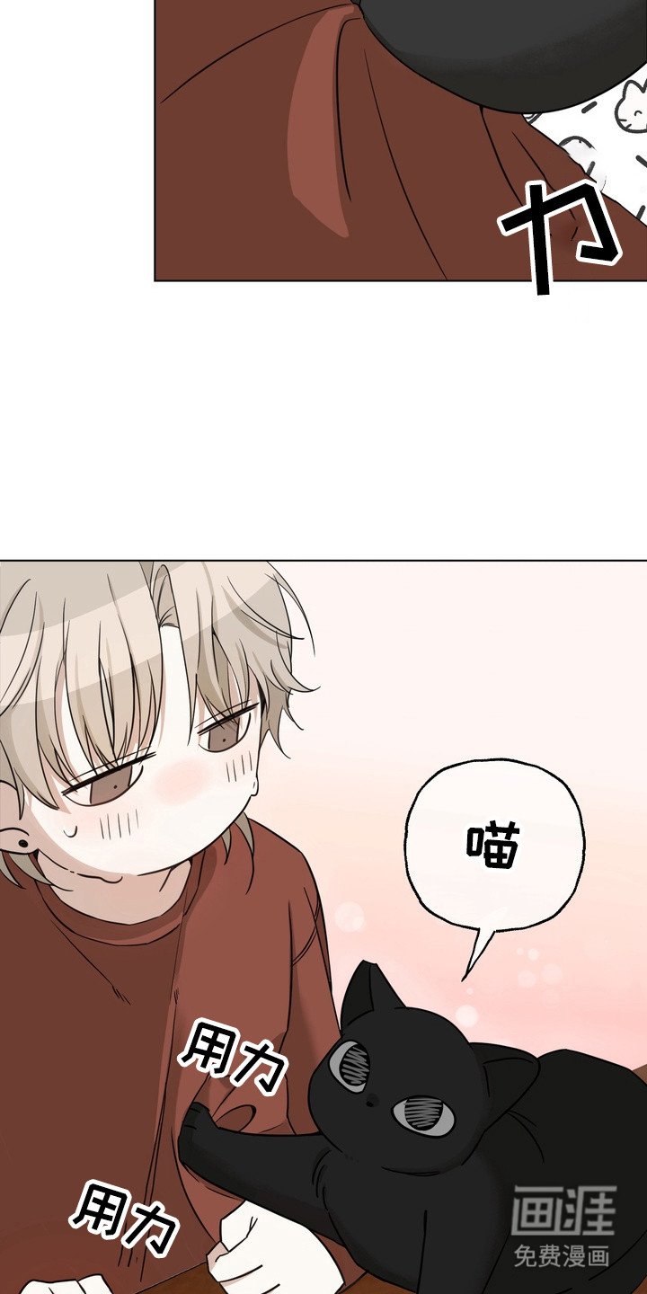 第3章：无法反驳