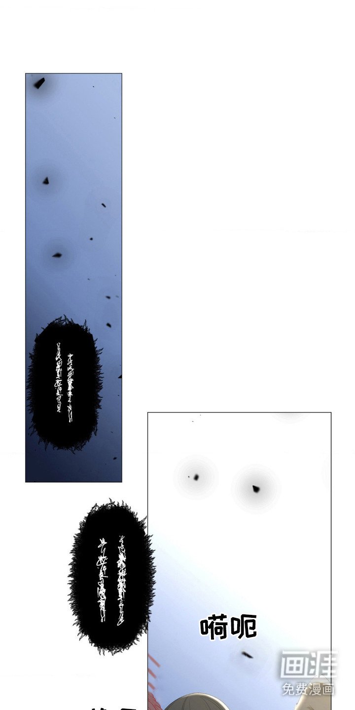 第13章：幻象