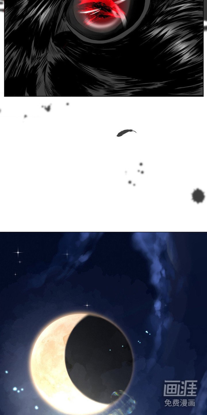 第13章：幻象
