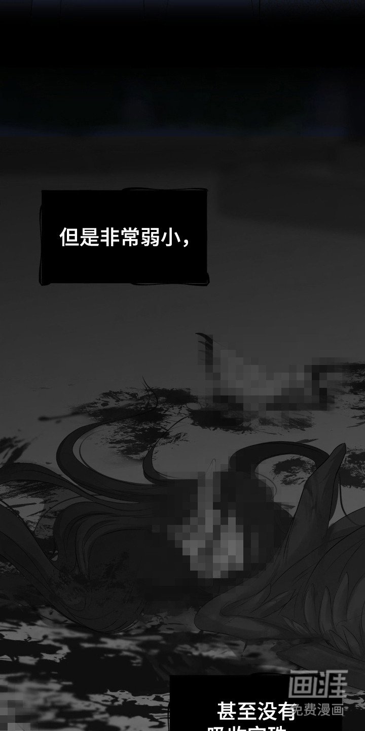 第13章：幻象