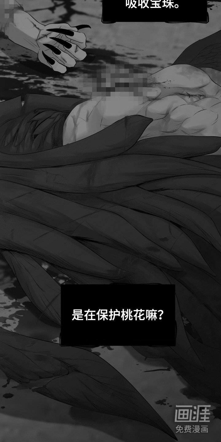 第13章：幻象