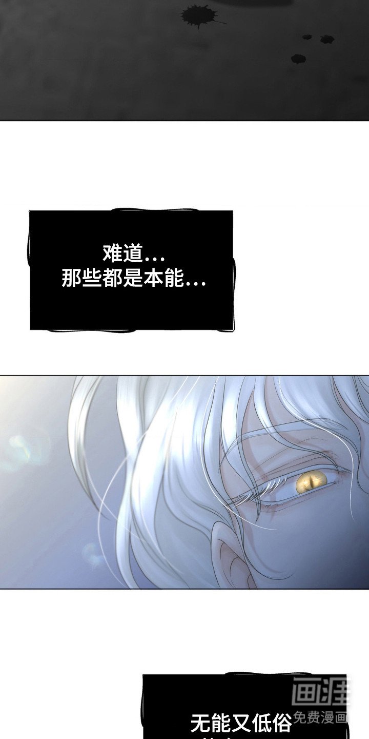 第13章：幻象