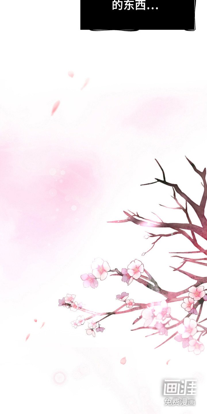 第13章：幻象
