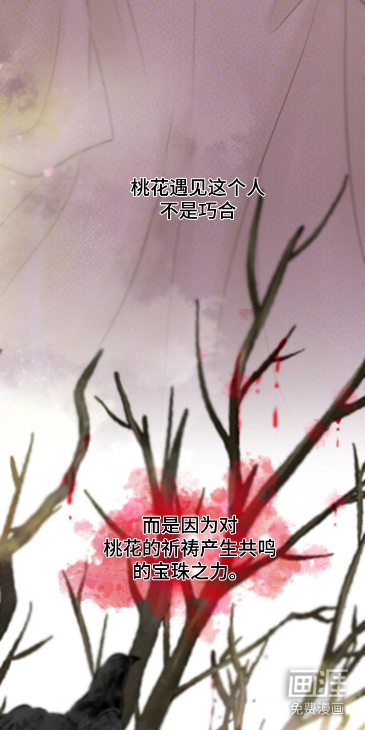 第13章：幻象
