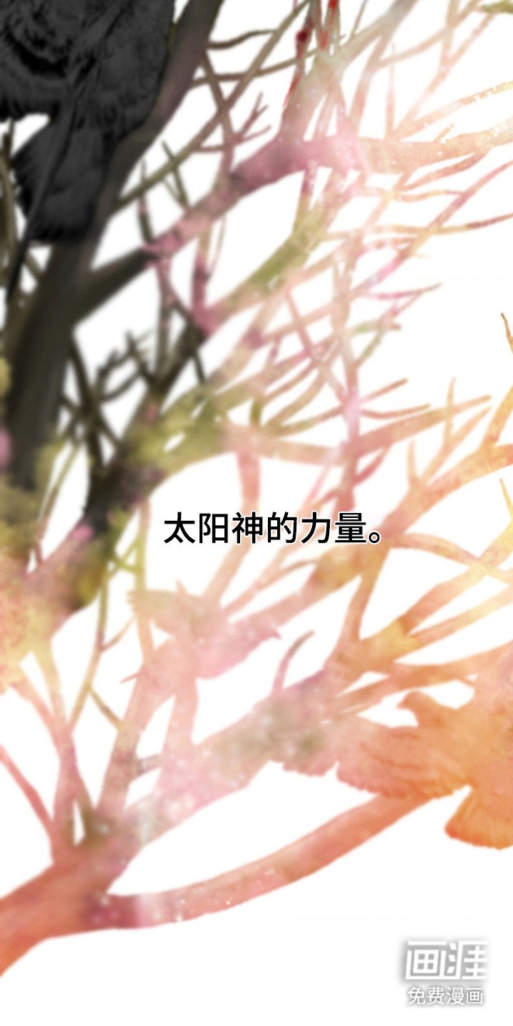 第13章：幻象