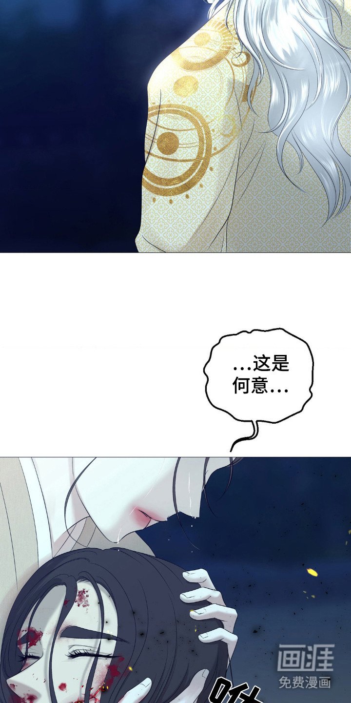 第15章：高洁