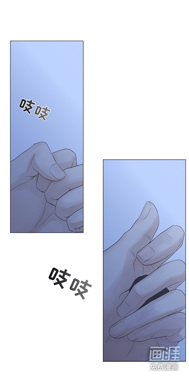 第17章：雏鸟
