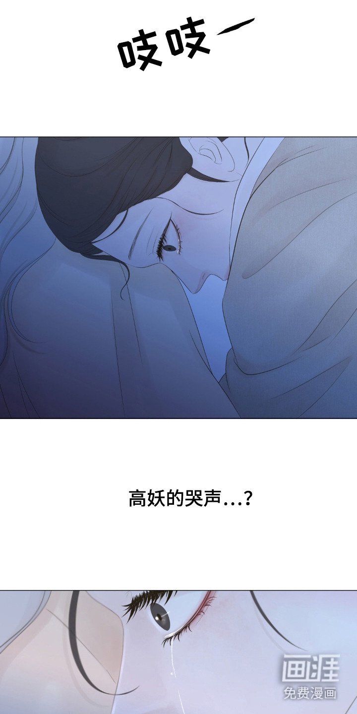 第17章：雏鸟