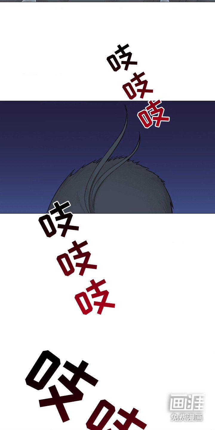 第17章：雏鸟