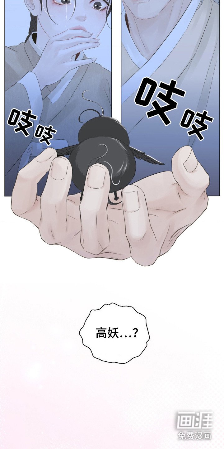 第17章：雏鸟