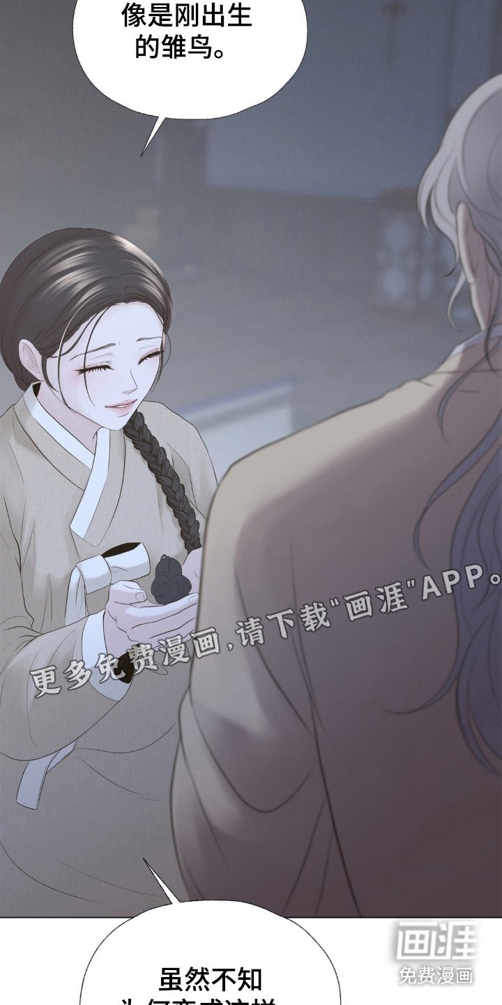 第17章：雏鸟