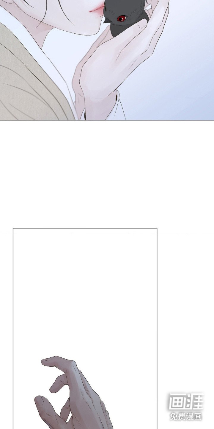 第17章：雏鸟