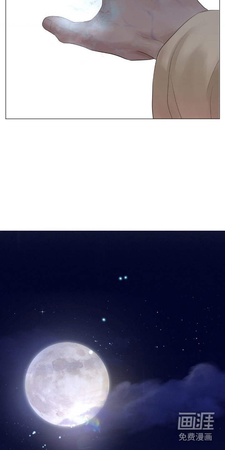 第17章：雏鸟
