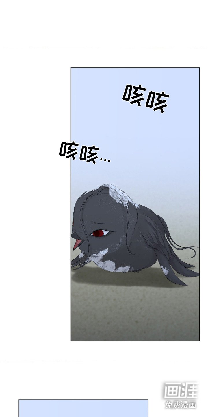 第17章：雏鸟
