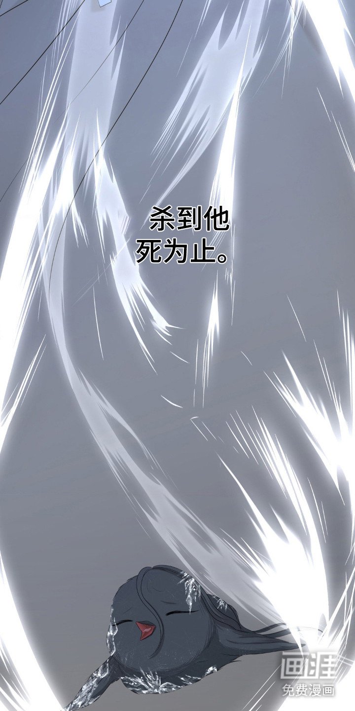 第17章：雏鸟