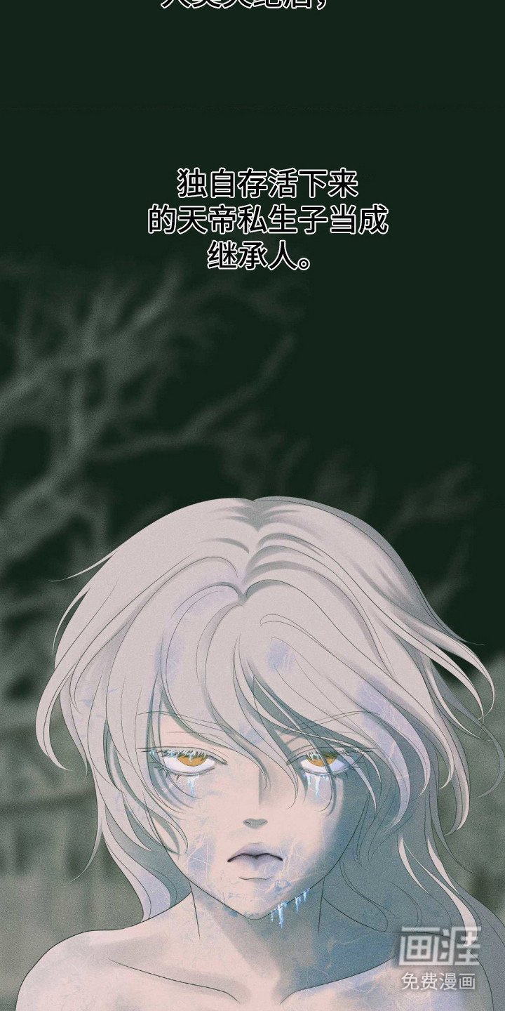 第19章： 继承人