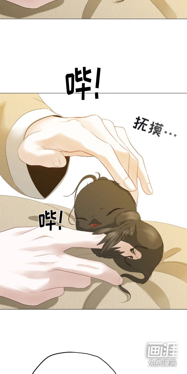 第20章：犹豫