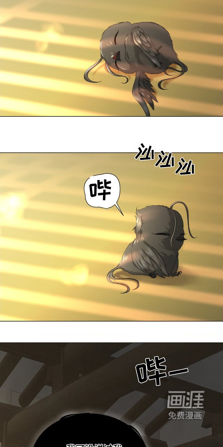 第23章：侮辱我