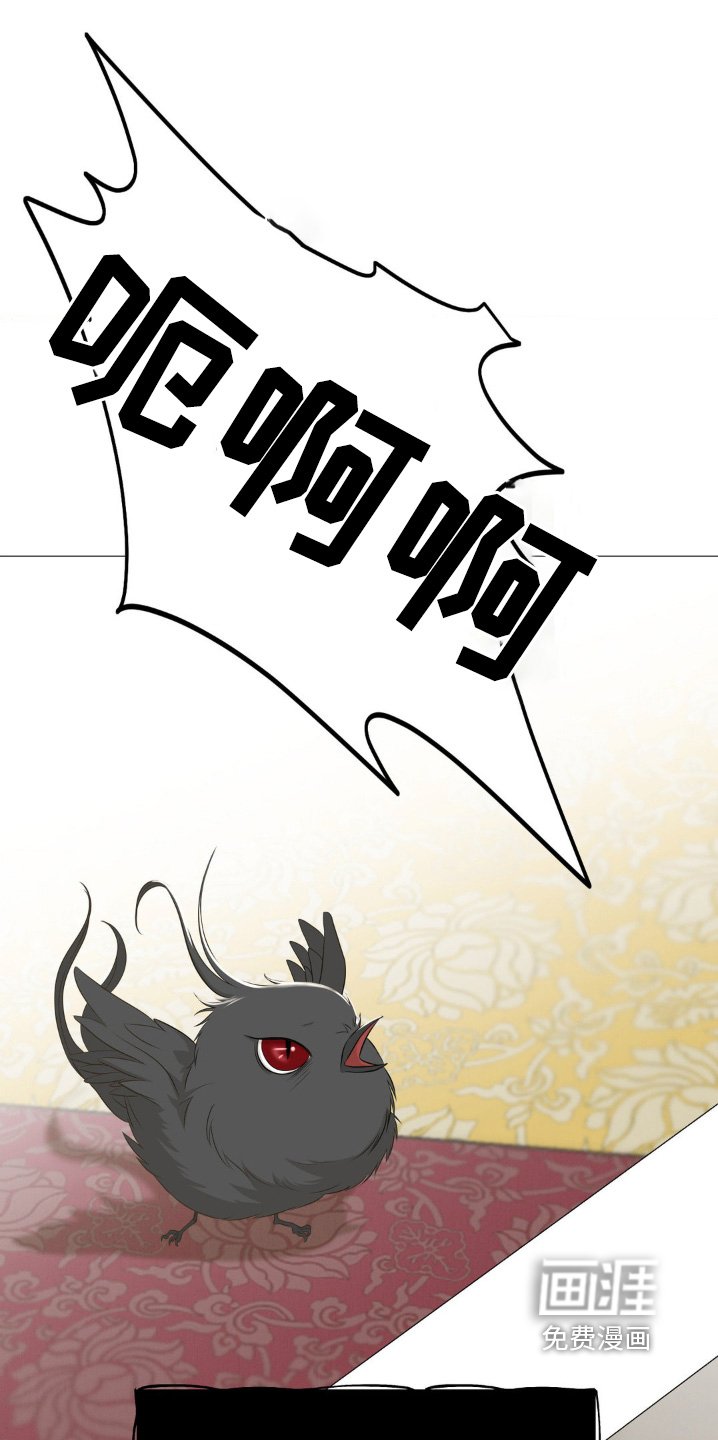 第25章：我能怎么办