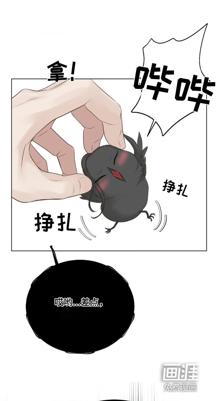 第25章：我能怎么办