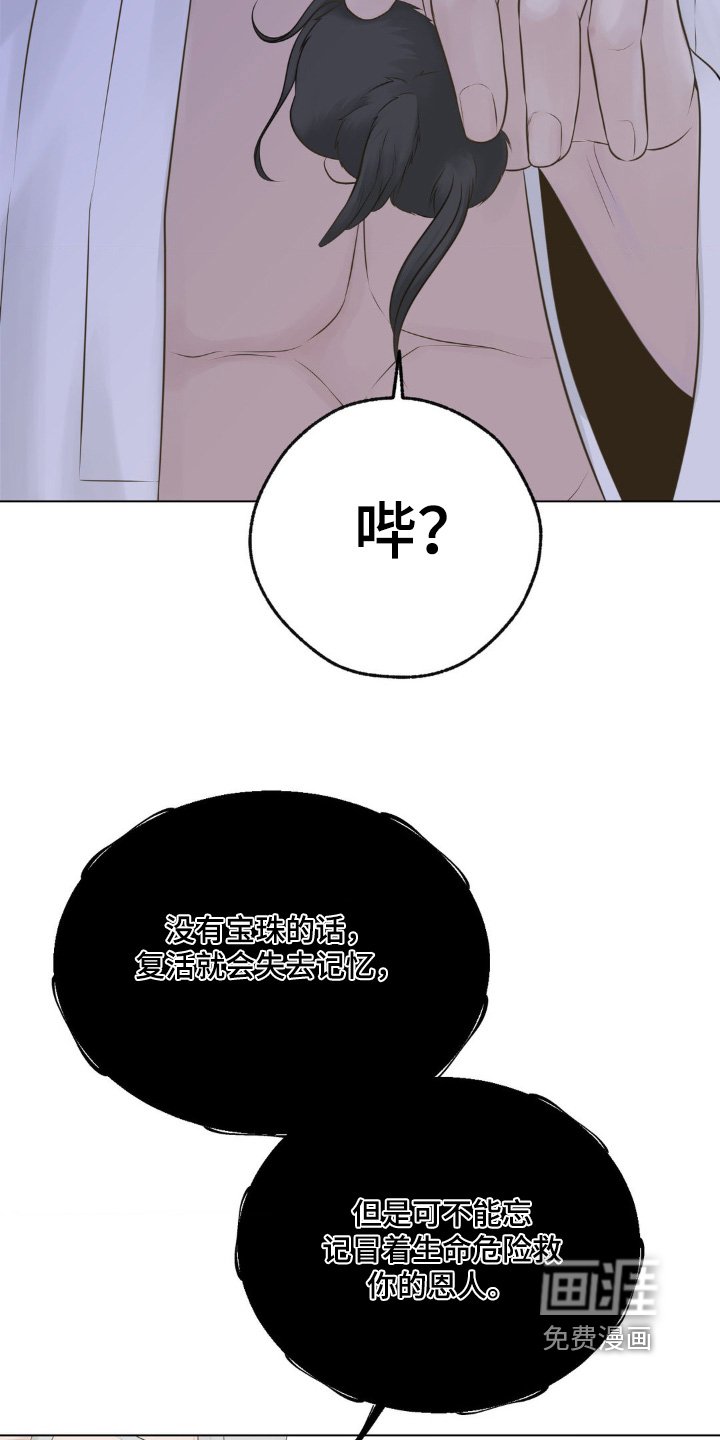 第25章：我能怎么办