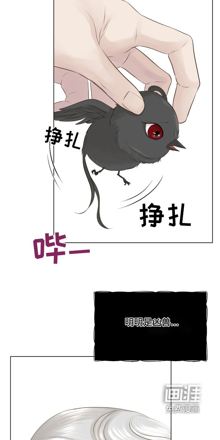 第25章：我能怎么办
