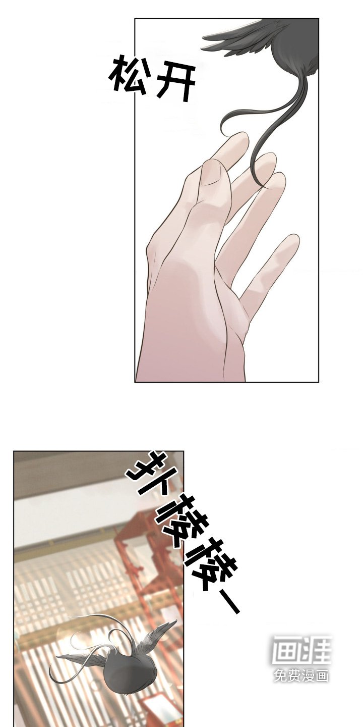第25章：我能怎么办