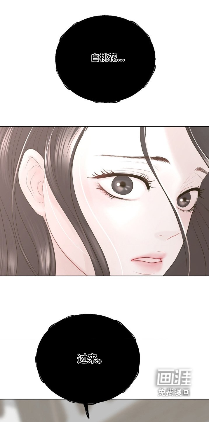 第27章：不要伤害任何人