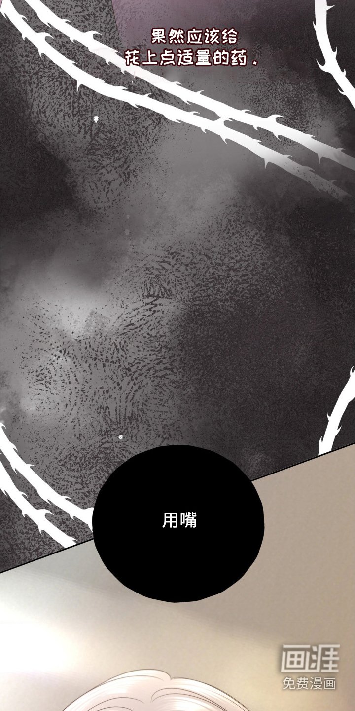 第30章：成婚