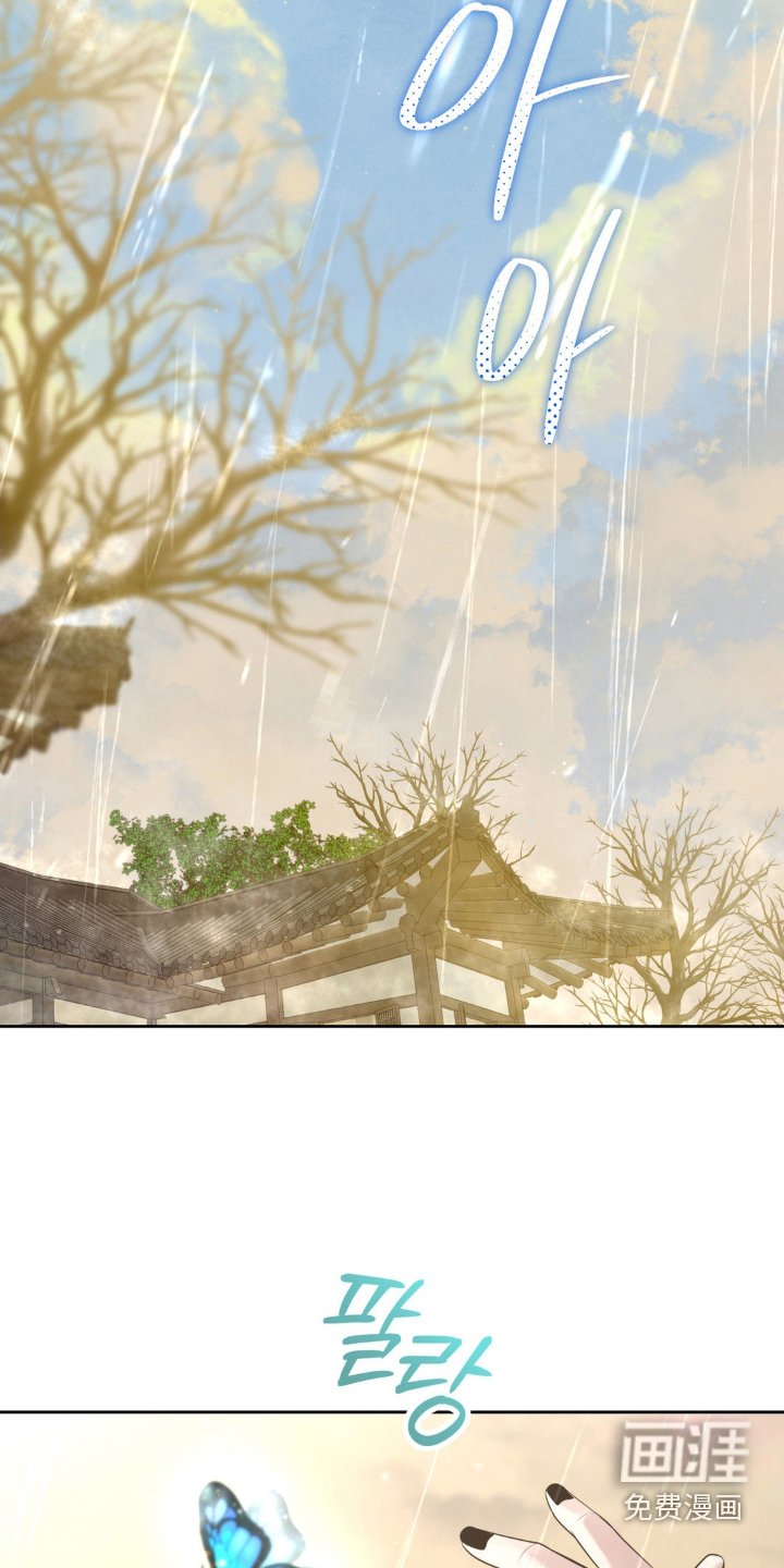 第31章：调和