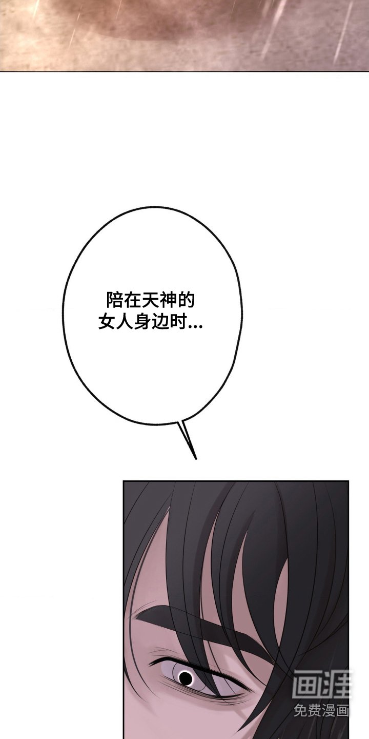 第31章：调和