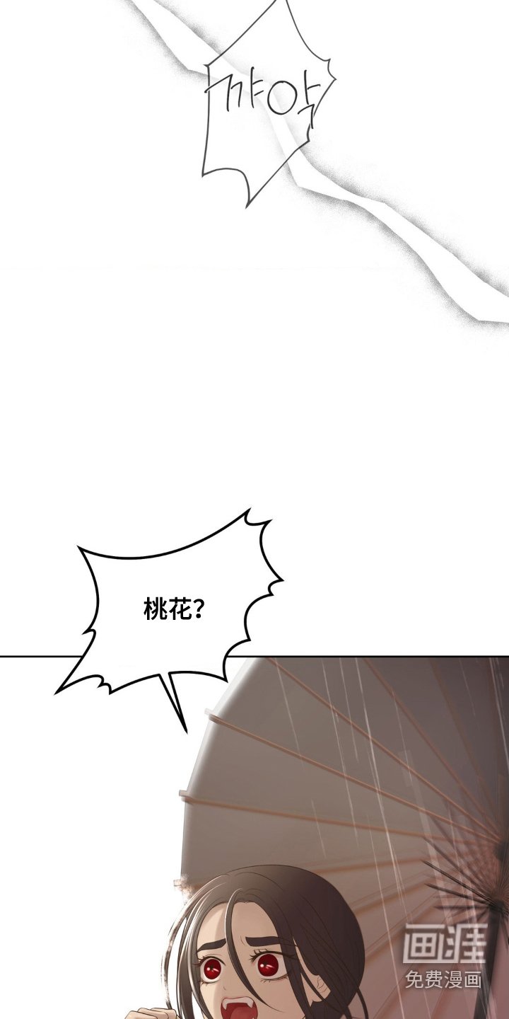 第31章：调和